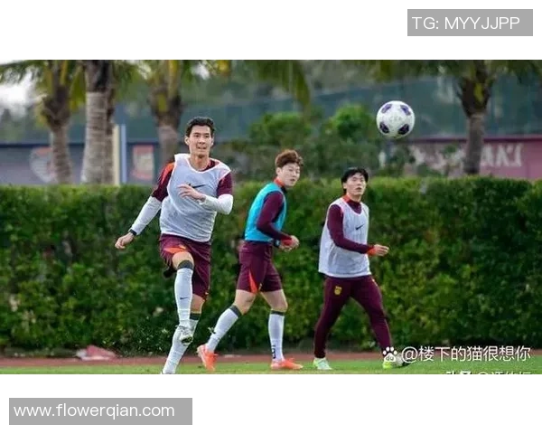 中国男子足球明星盘点及其在国际赛场上的表现与影响力分析