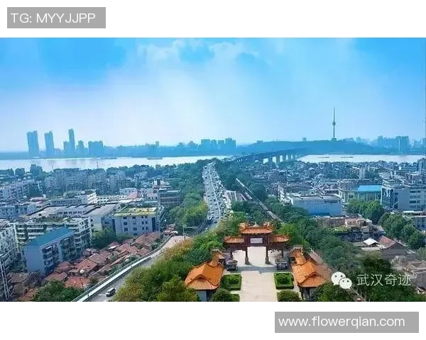 重庆乒乓球队的阵地战解析与未来发展趋势探讨