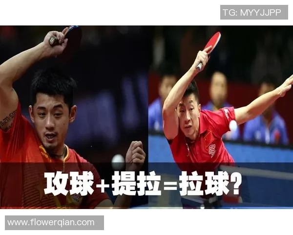 乒乓球精神：杭州乒乓球队拼搏历程的真实记录与感悟