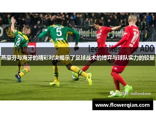 燕豪芬与海牙的精彩对决揭示了足球战术的博弈与球队实力的较量